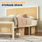 Modern Style Woven Panel Bed Frames
